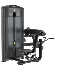 Extensión de Biceps